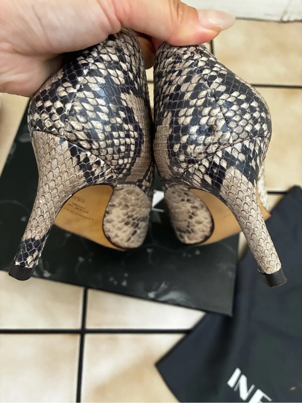 Inez stunning pointed